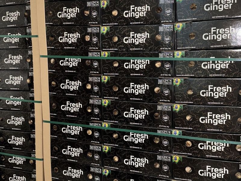 Caixas de produtos frescos separadas por lote no armazenamento