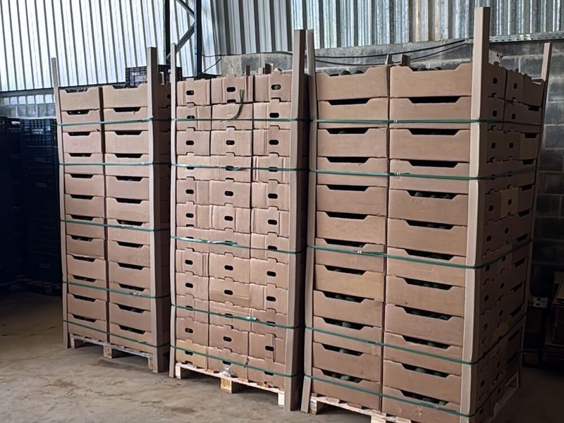 Produtos paletizados e identificados para transporte